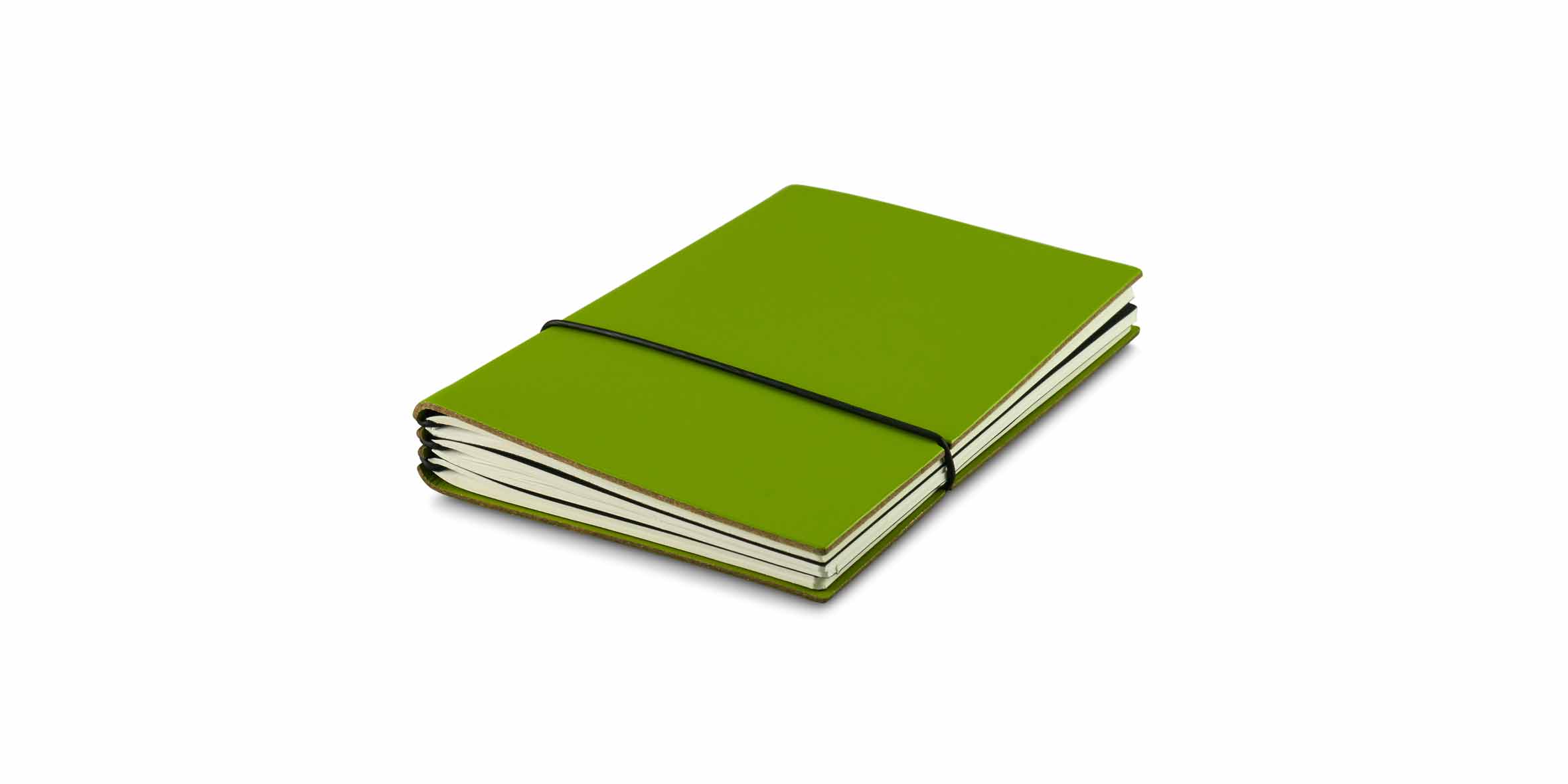 X17 SuperBuch A6 Lefa grün