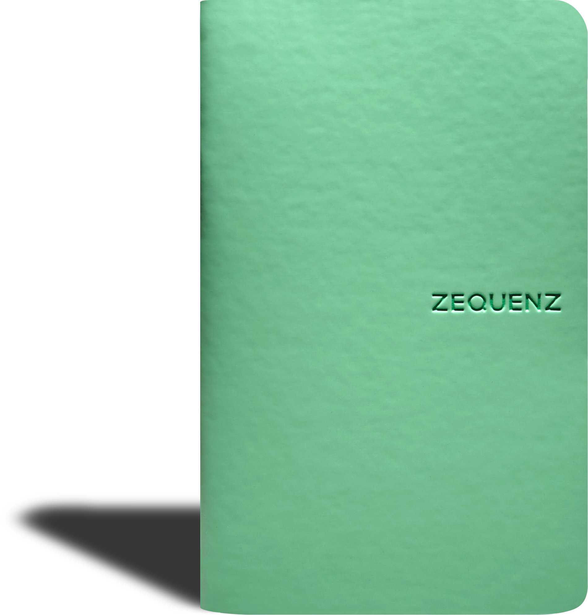 Zequenz The Color Notizbuch Professional Note Farngrün